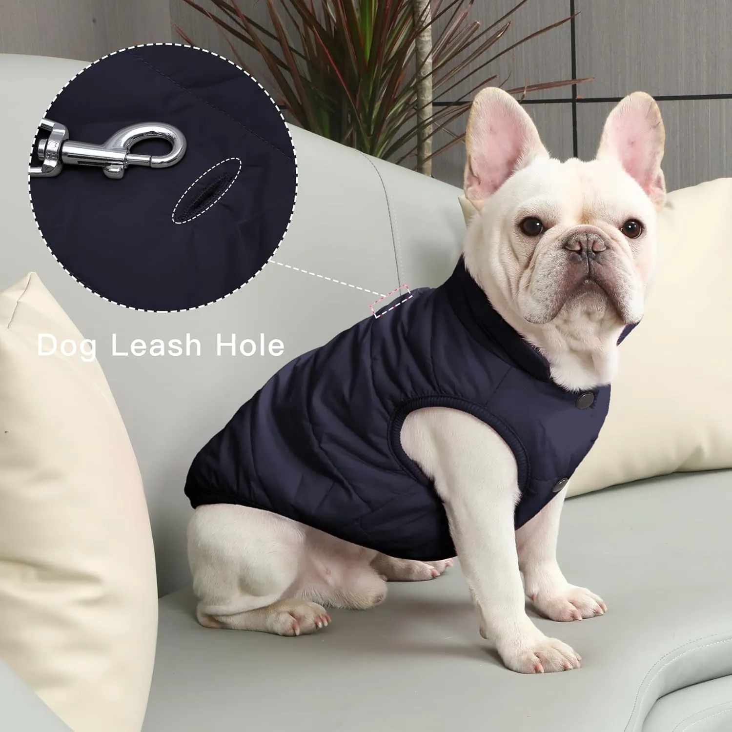 2 Layers Fleece Lined Warm Dog Jacket for Winter Cold Weather,Soft Windproof Medium Dog Coat,Blue L