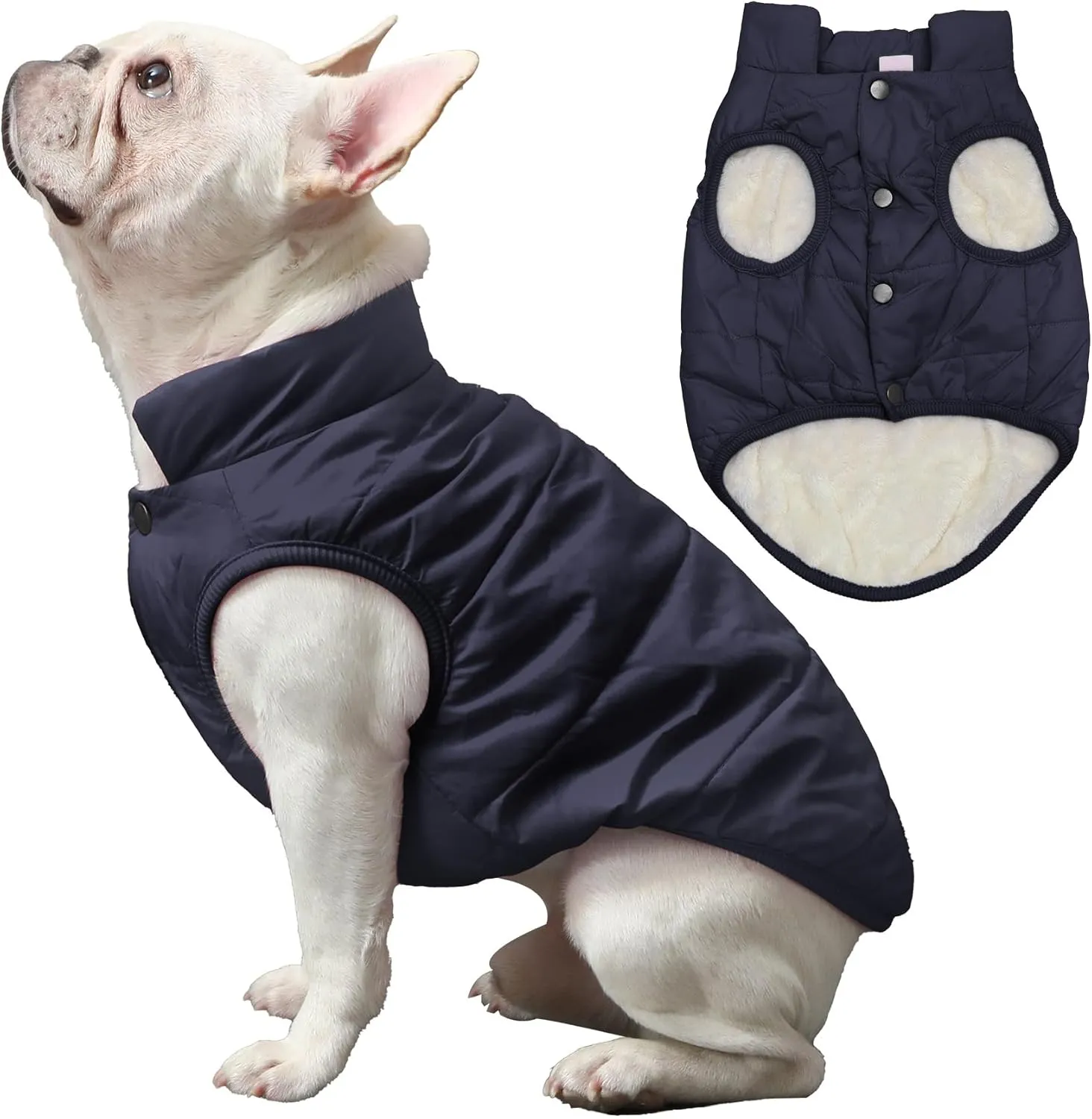 2 Layers Fleece Lined Warm Dog Jacket for Winter Cold Weather,Soft Windproof Medium Dog Coat,Blue L