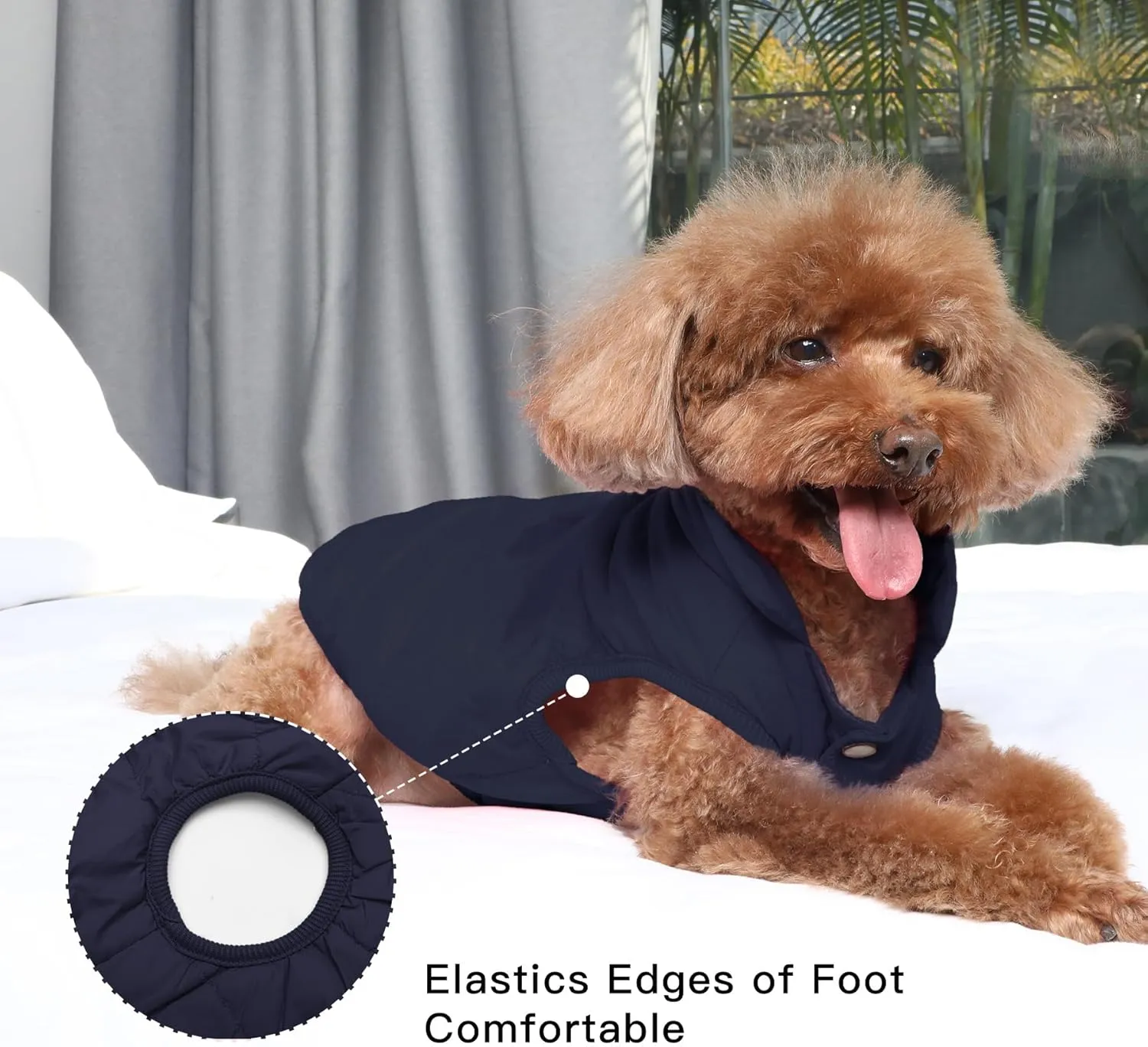 2 Layers Fleece Lined Warm Dog Jacket for Winter Cold Weather,Soft Windproof Medium Dog Coat,Blue L