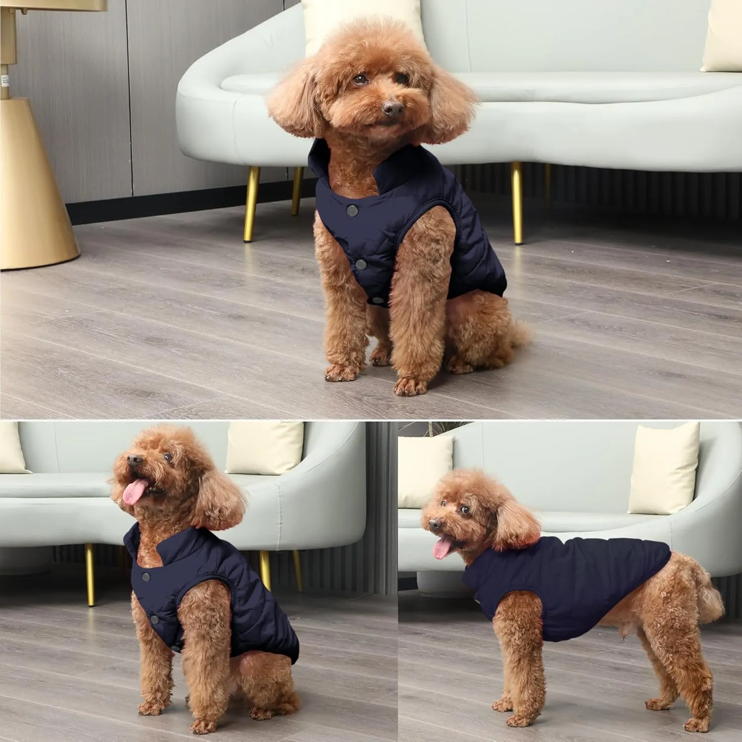 2 Layers Fleece Lined Warm Dog Jacket for Winter Cold Weather,Soft Windproof Medium Dog Coat,Blue L