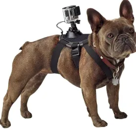 Action Cam Mount Dog Harness