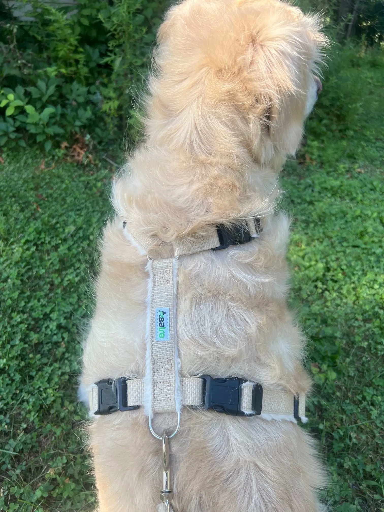 Adjustable Dog Harness - Hemp Multi-Clasp
