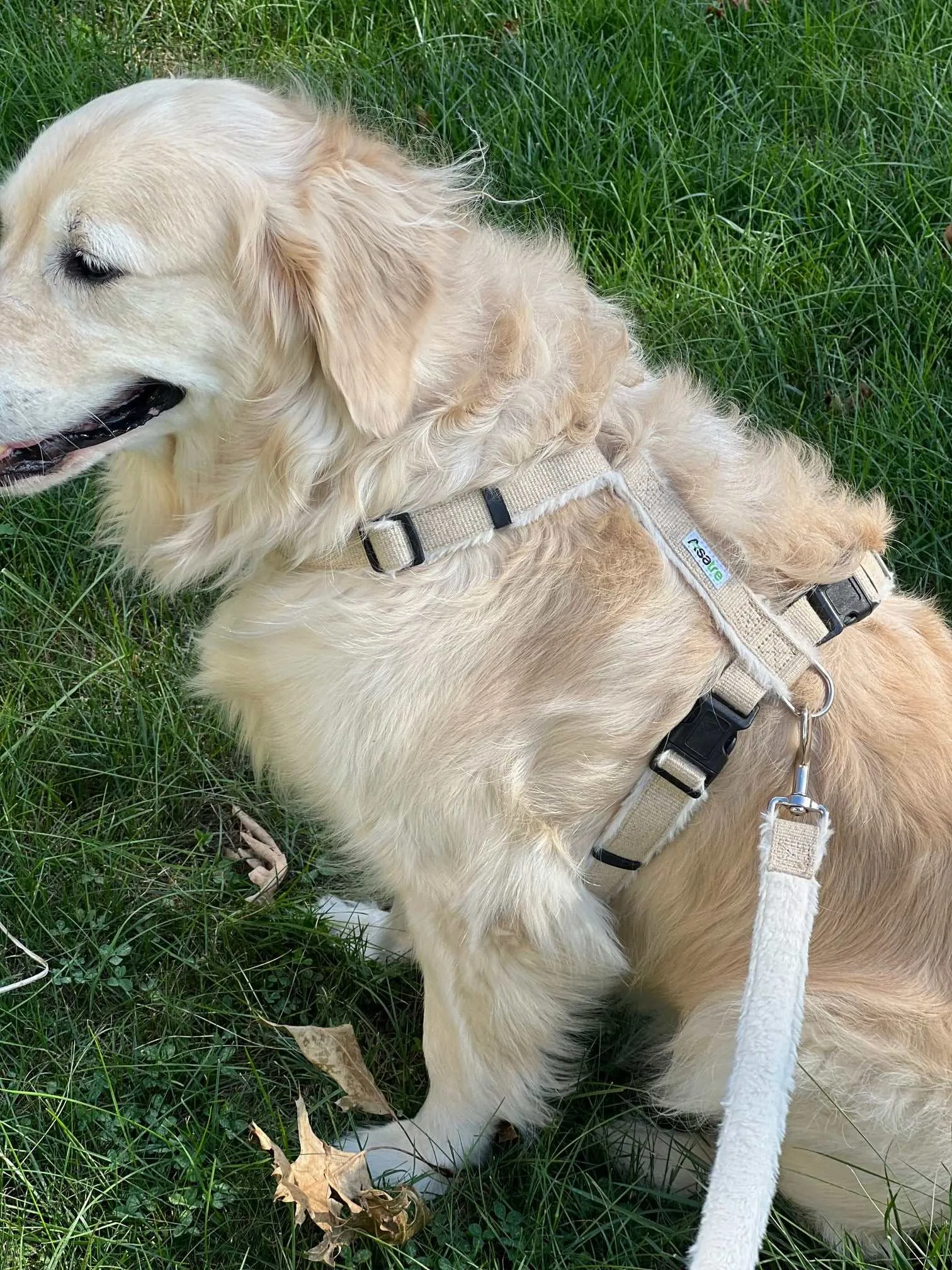 Adjustable Dog Harness - Hemp Multi-Clasp