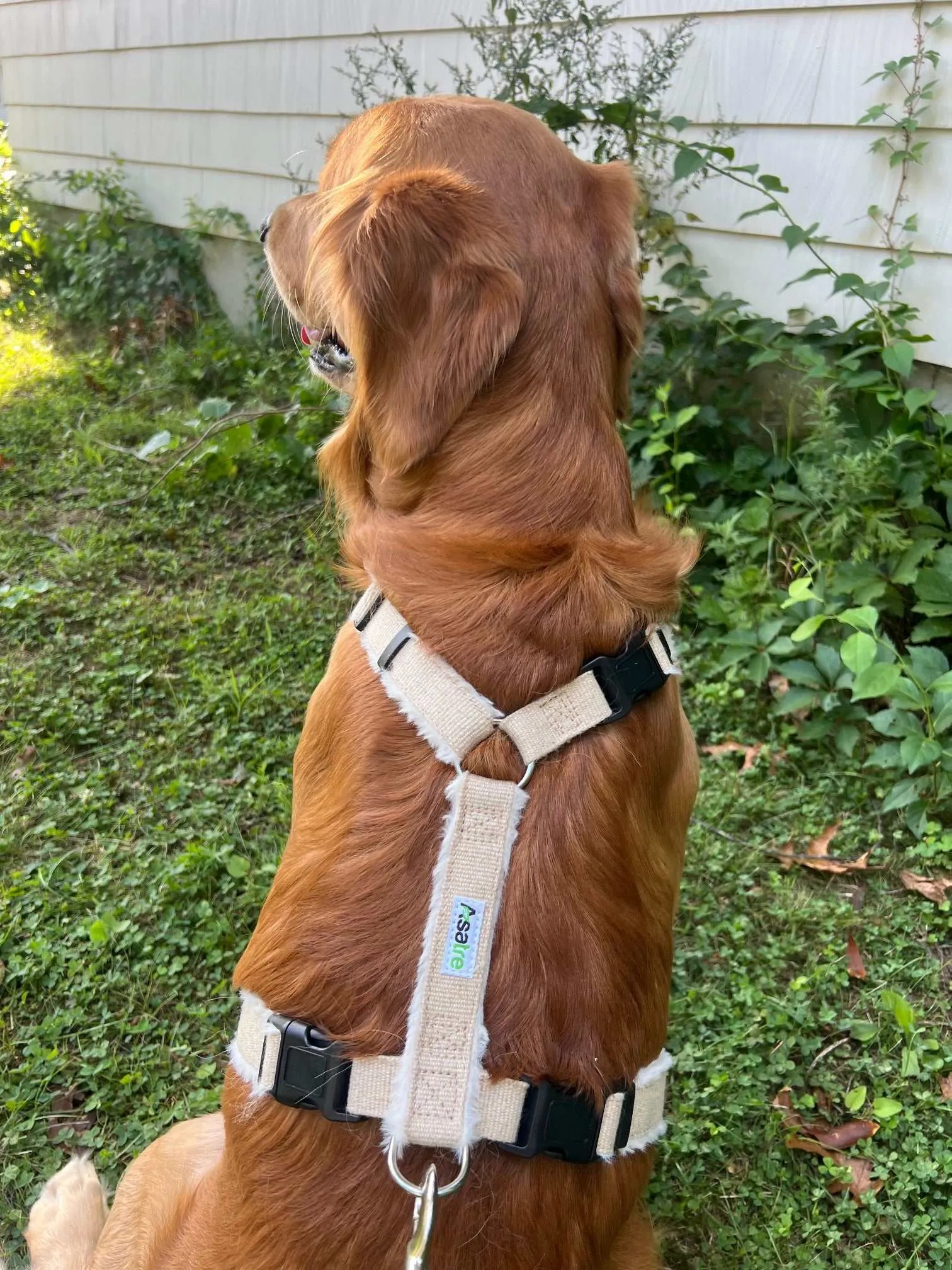 Adjustable Dog Harness - Hemp Multi-Clasp