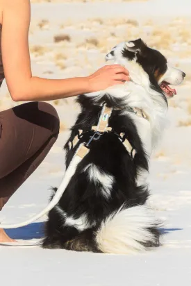 Adjustable Dog Harness - Hemp Multi-Clasp