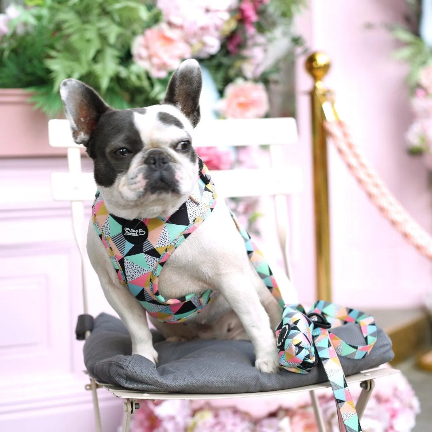 Adjustable Dog Harness - Mykonos