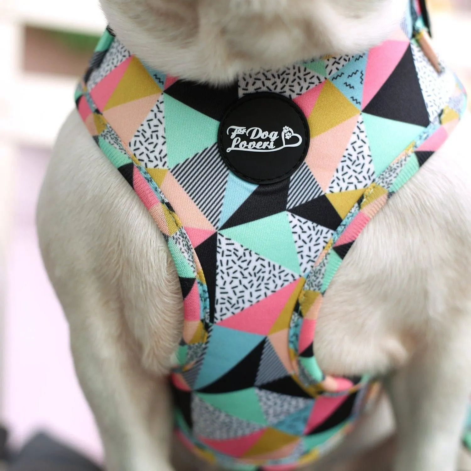 Adjustable Dog Harness - Mykonos