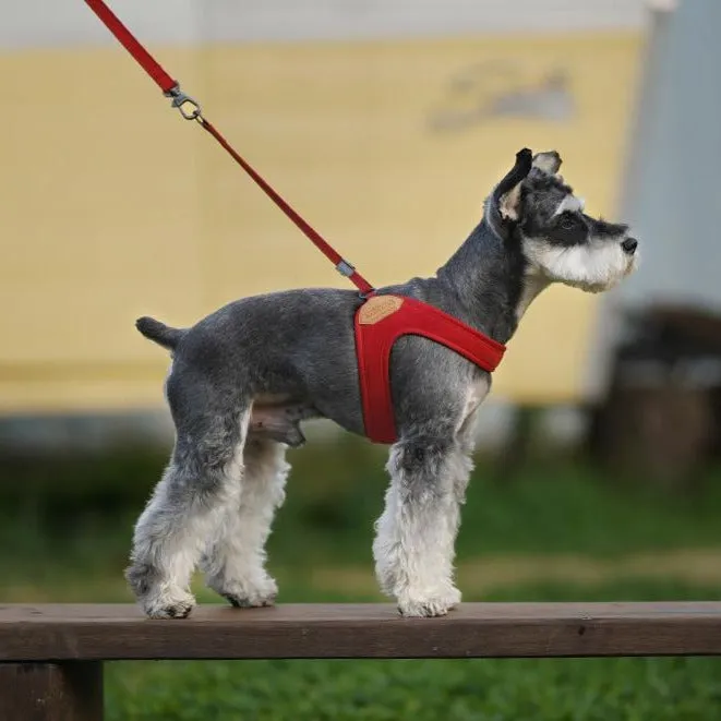 Adjustable Easy Harness Red