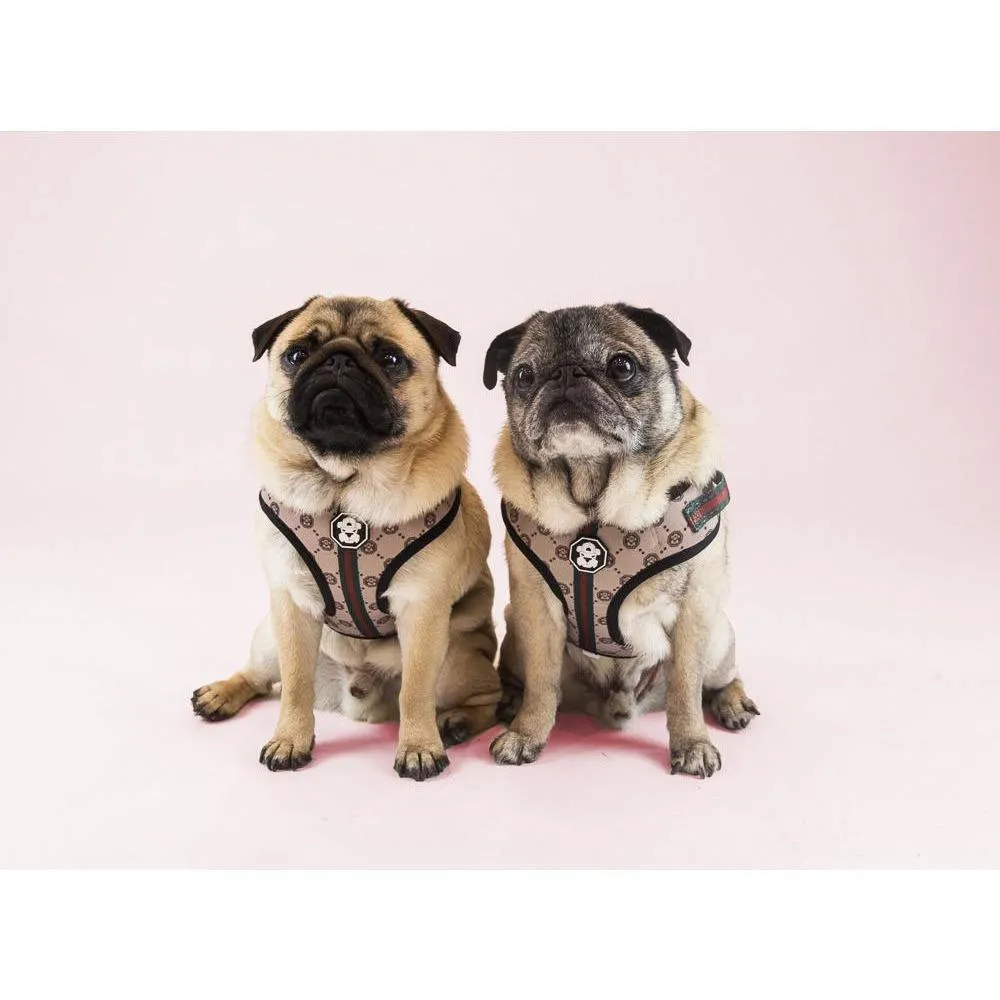 Adjustable Mesh Dog Harness