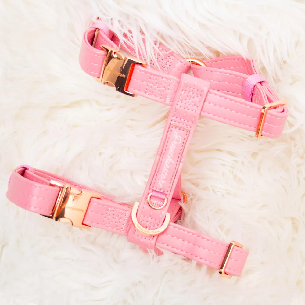 Adjustable Pet Health Strap Harness | Blushed