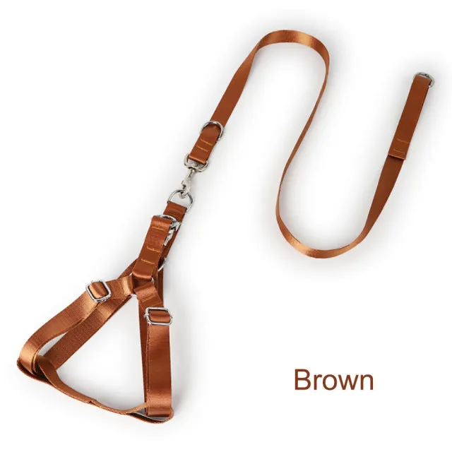Adjustable Vest Harness Sets Pet
