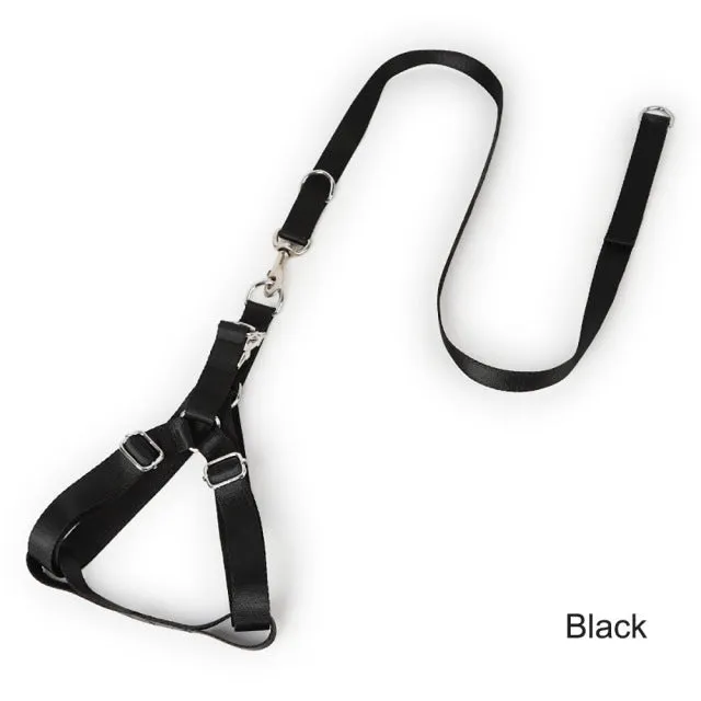 Adjustable Vest Harness Sets Pet