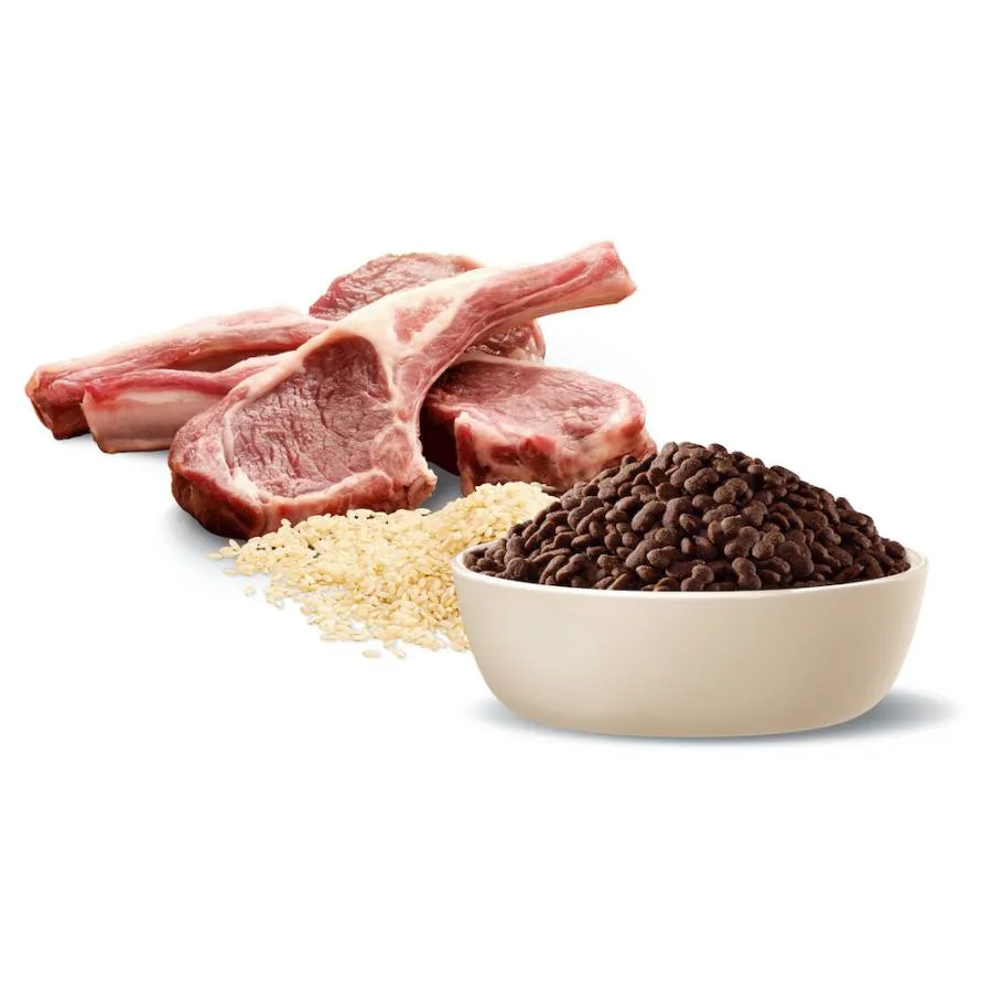 Advance Adult Toy Small Breed Lamb Rice