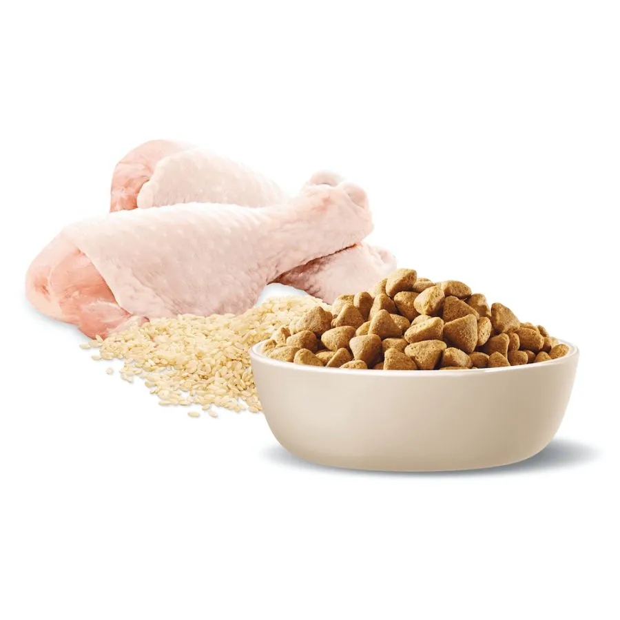 Advance Dog Weight Medium Breed Chicken With Rice
