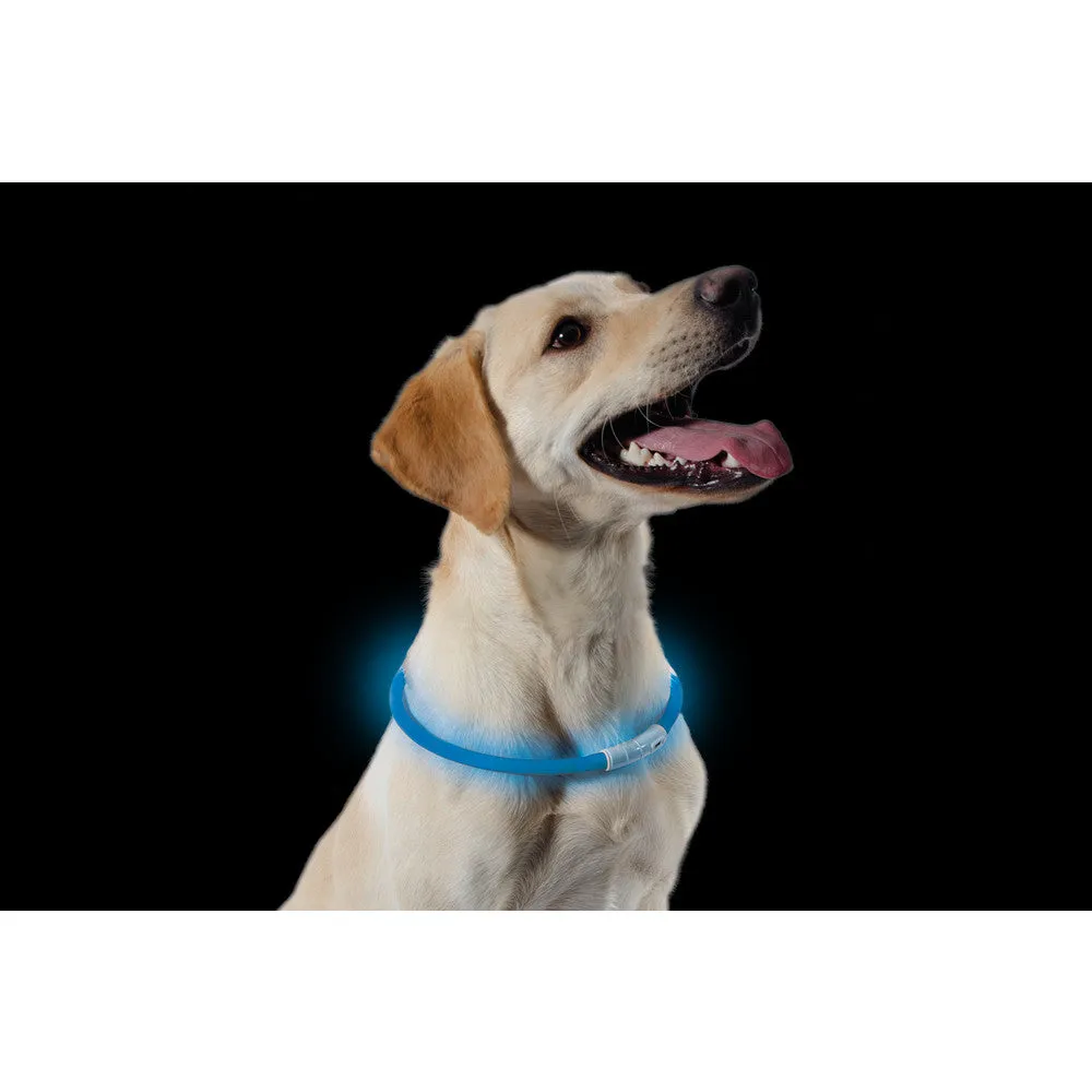 Ancol High Visibility Halo Safety Band Flashing Dog Collar Blue One Size