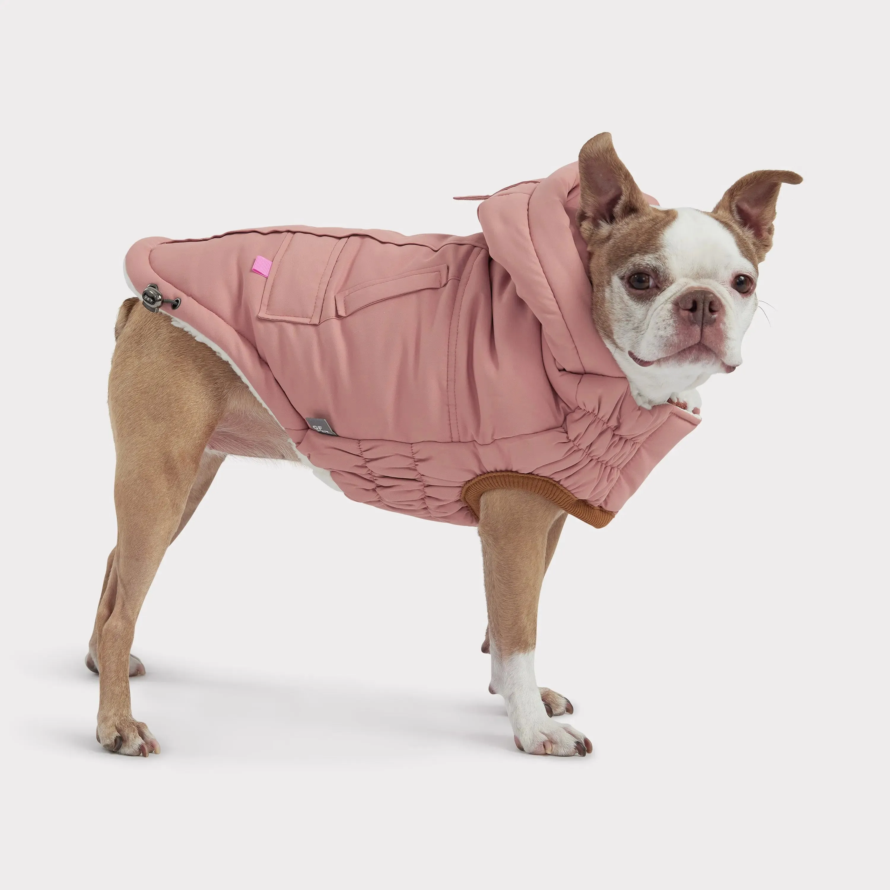 Arctic Dog Parka | Clay