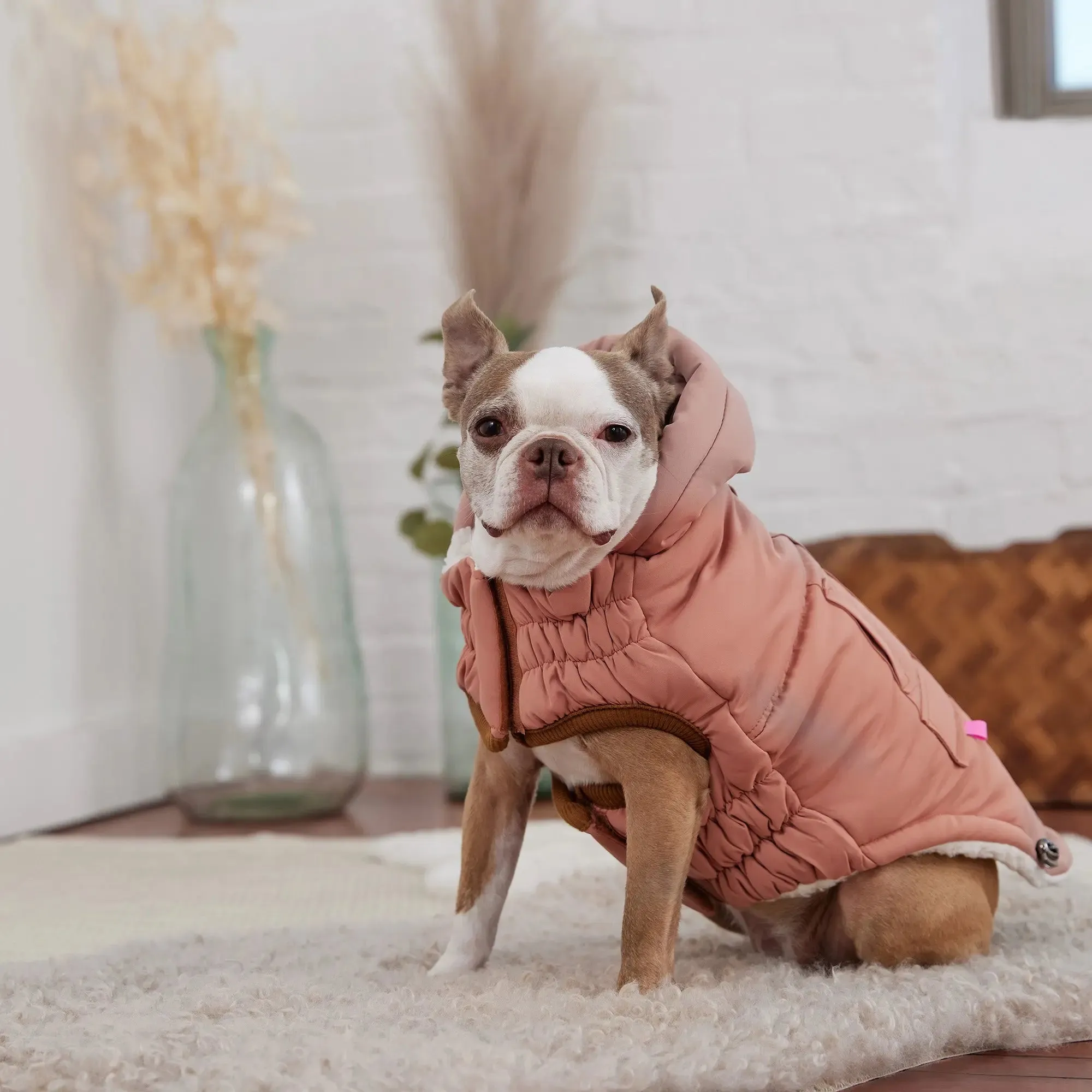 Arctic Dog Parka | Clay