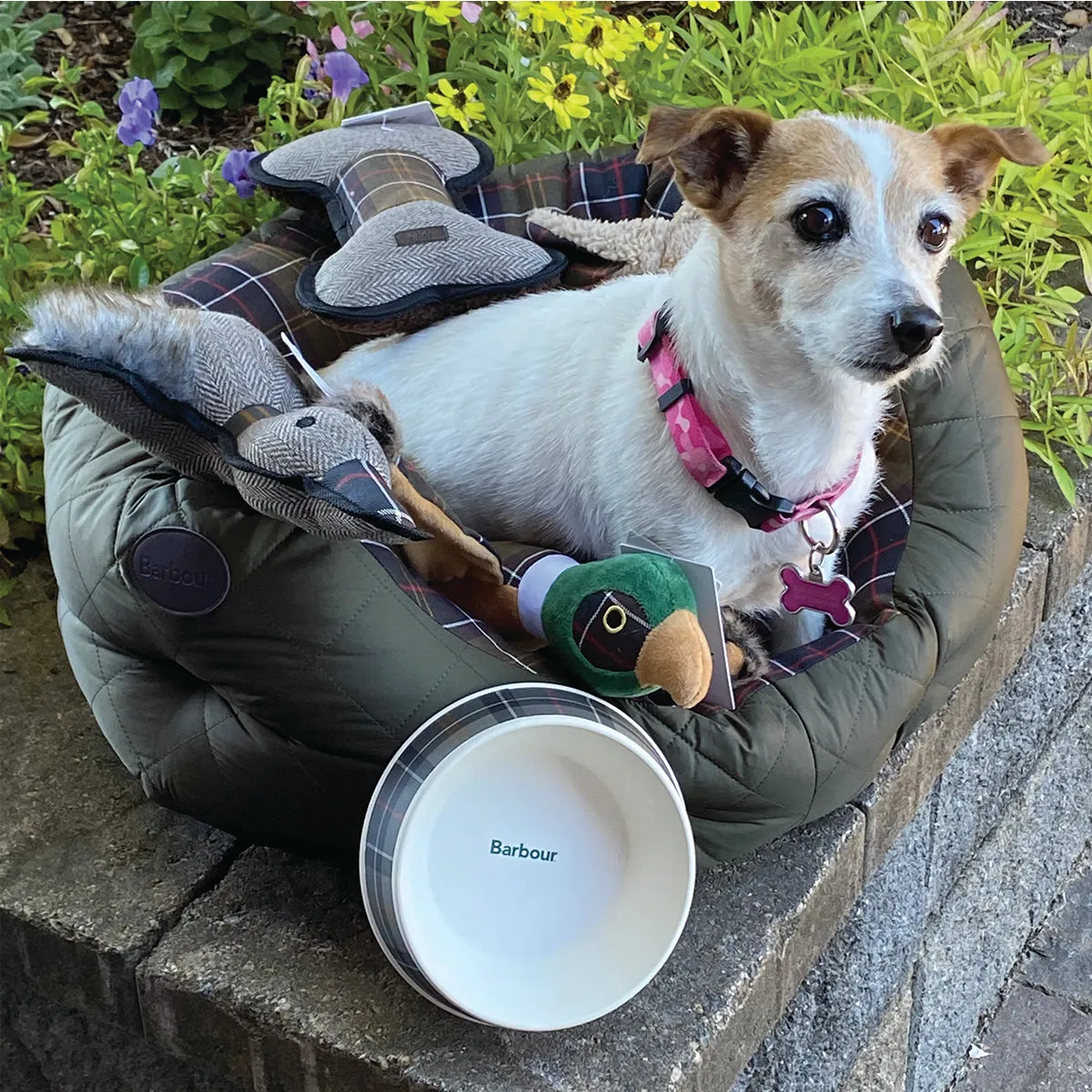 Barbour Wax/Cotton Dog Bed