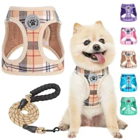 BEAUTYZOO Dog Harness and Leash Set for Small Medium Dogs,No Pull Step-in Harness for Puppy S M Sized Dogs and Cats,Air Mesh Adjustable Breathable Soft No Chock Escape Proof Vest Harness,Sky Blue S