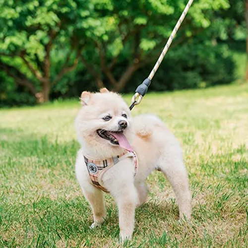 BEAUTYZOO Dog Harness and Leash Set for Small Medium Dogs,No Pull Step-in Harness for Puppy S M Sized Dogs and Cats,Air Mesh Adjustable Breathable Soft No Chock Escape Proof Vest Harness,Sky Blue S