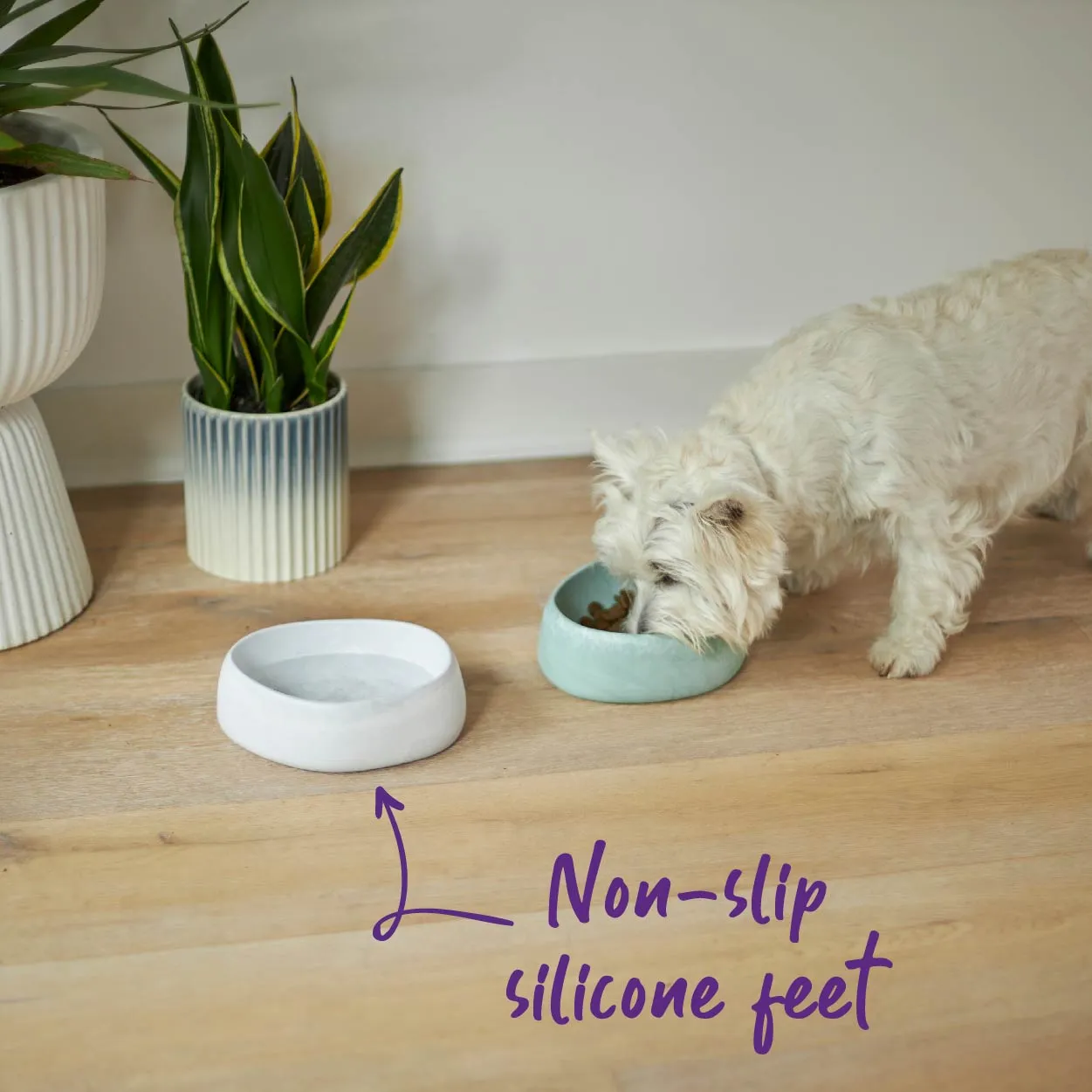 Better Bowl For Dogs - Marble White