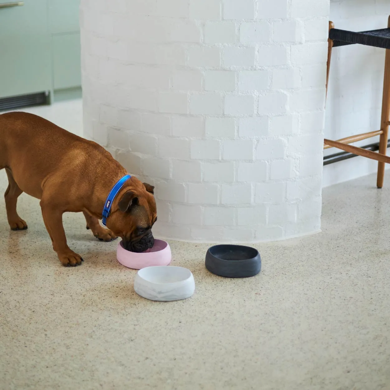 Better Bowl For Dogs - Marble White