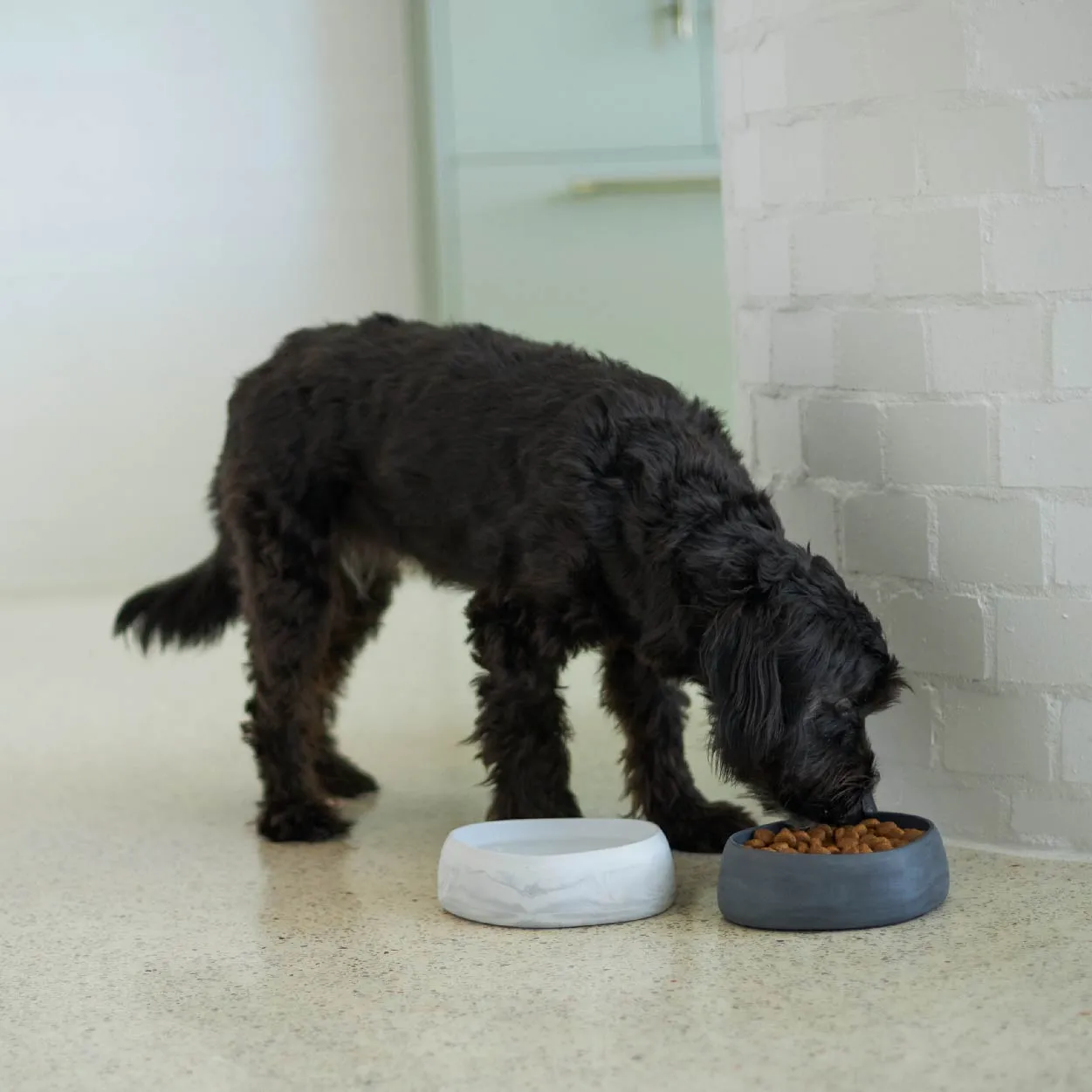Better Bowl For Dogs - Marble White