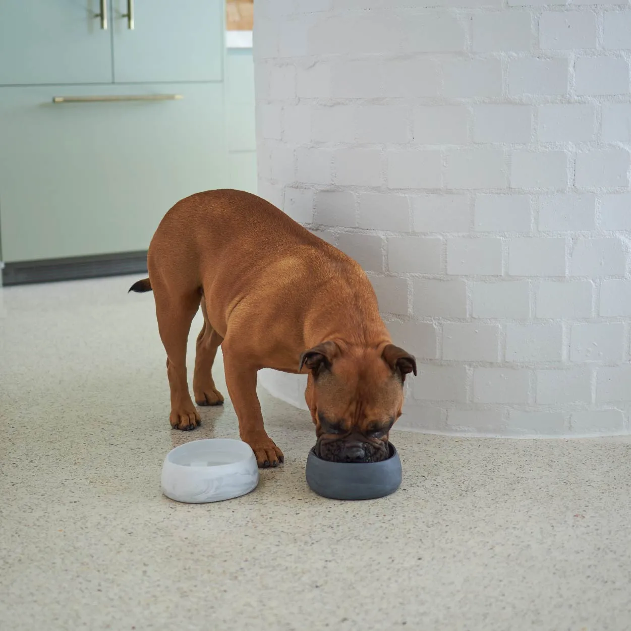 Better Bowl For Dogs - Marble White