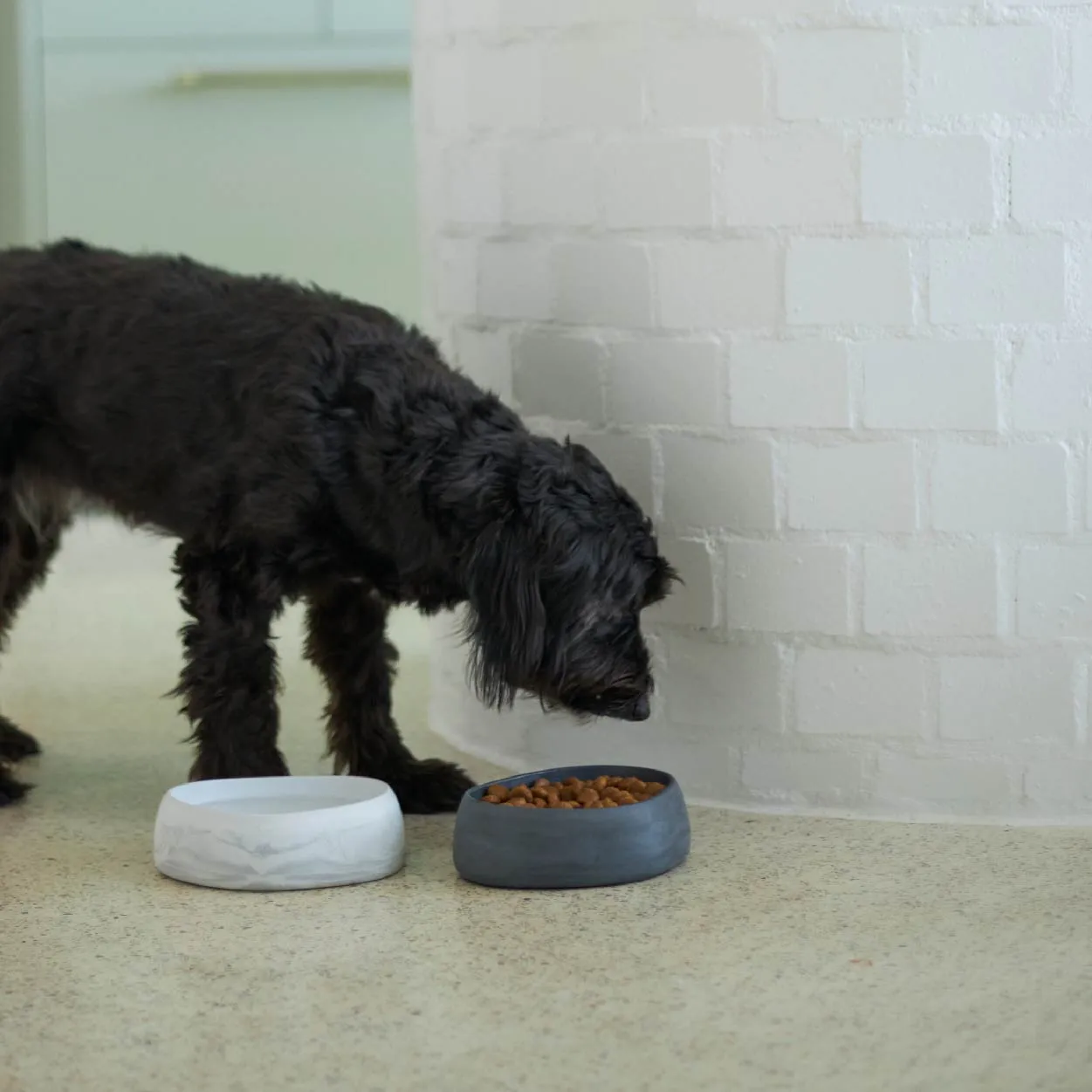 Better Bowl For Dogs - Marble White