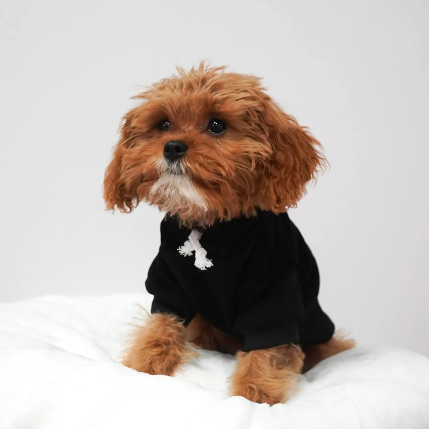 Big Sister Heart Paw Baby Announcement Dog Hoodie Fleece Lined Pullover Sweatshirt with Leash Hole (Black, Large 86)