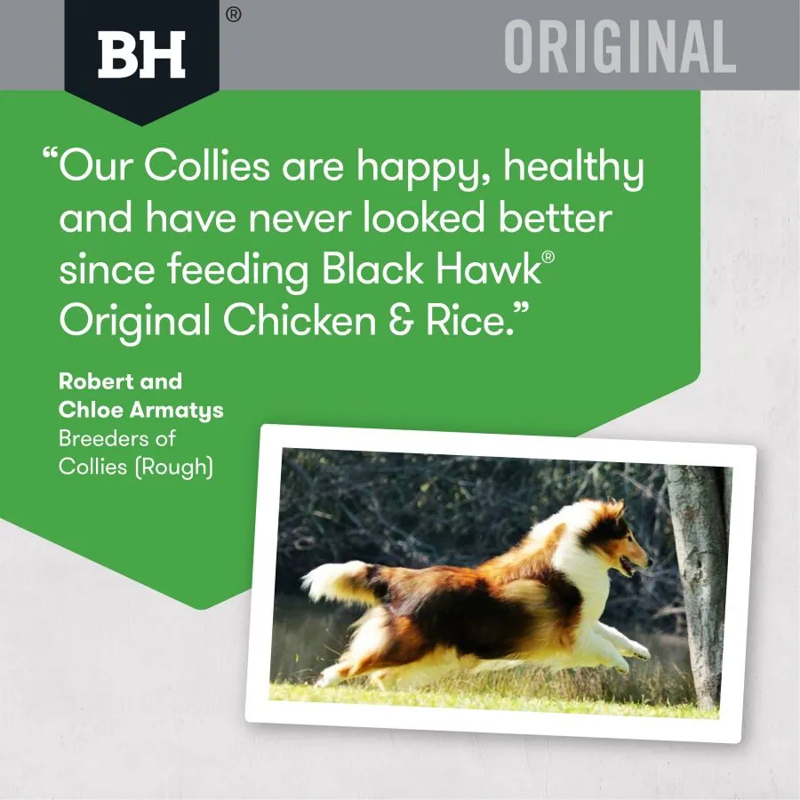 Black Hawk Dog Food Adult Chicken and Rice