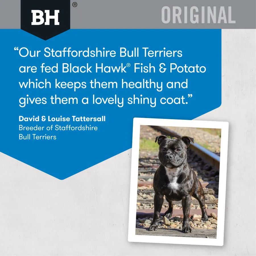 Black Hawk Dog Food Adult Fish and Potato