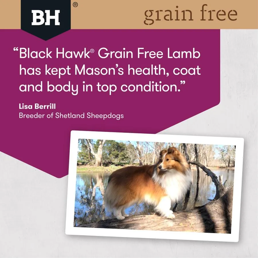 Black Hawk Dog Food Grain Free Lamb