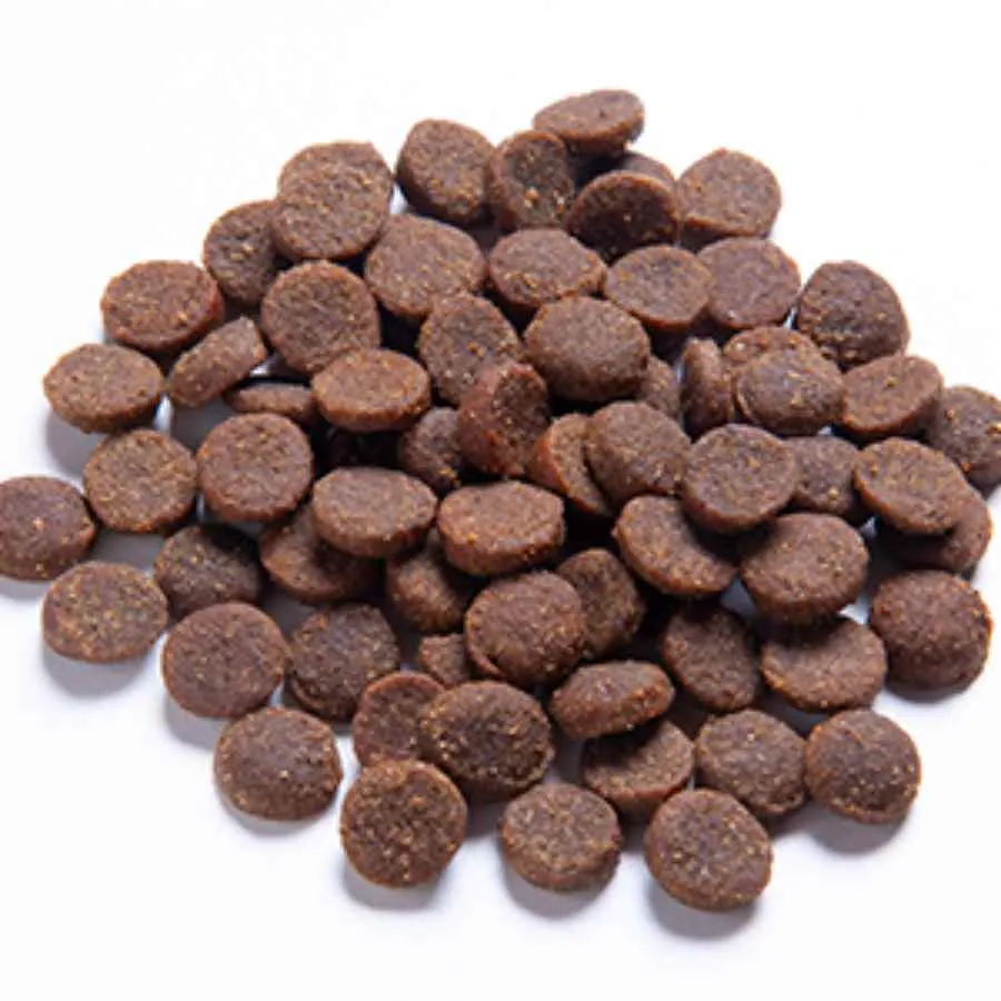 Blackdog Chicken Rice Adult Dog Food - **shortdated**