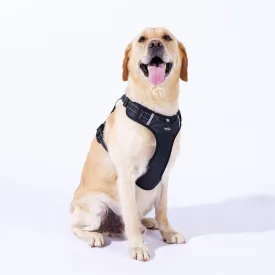 Breathable mesh Dog Harness No Pull and Leash Set Adjustable Pet Harness with Soft Padded Vertical Handle for Lifting Reflective No-Choke Dog Vest 2 Leash Hooks Escape Proof (Black, L)