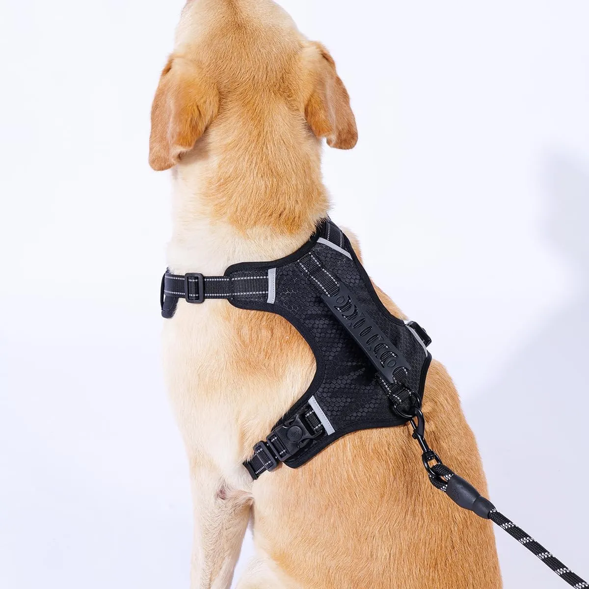 Breathable mesh Dog Harness No Pull and Leash Set Adjustable Pet Harness with Soft Padded Vertical Handle for Lifting Reflective No-Choke Dog Vest 2 Leash Hooks Escape Proof (Black, L)