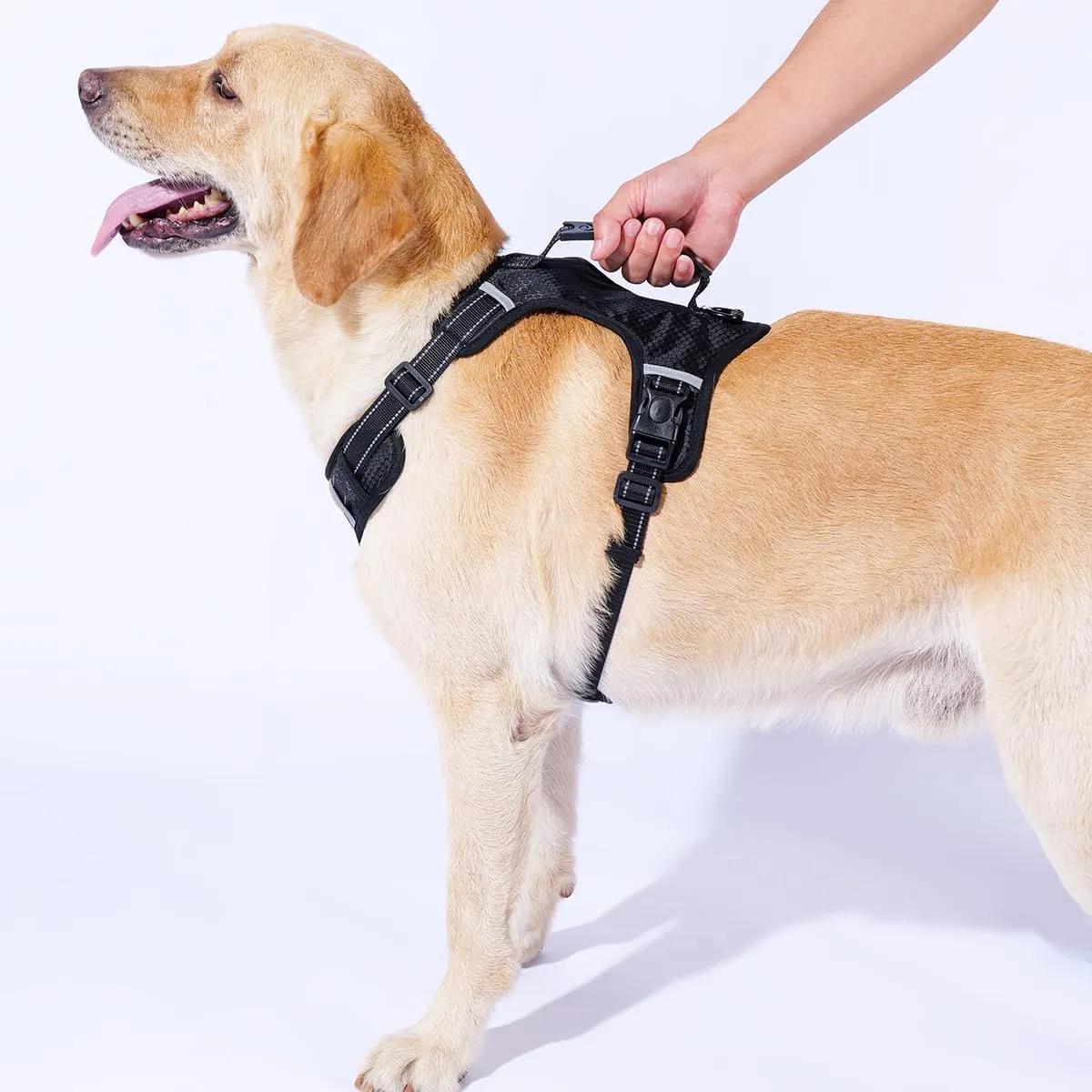 Breathable mesh Dog Harness No Pull and Leash Set Adjustable Pet Harness with Soft Padded Vertical Handle for Lifting Reflective No-Choke Dog Vest 2 Leash Hooks Escape Proof (Black, L)