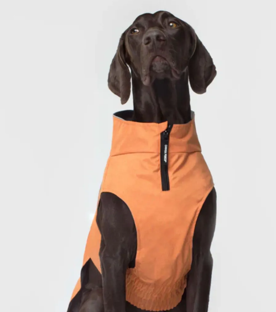 Canada Pooch Expedition Raincoat For Dogs