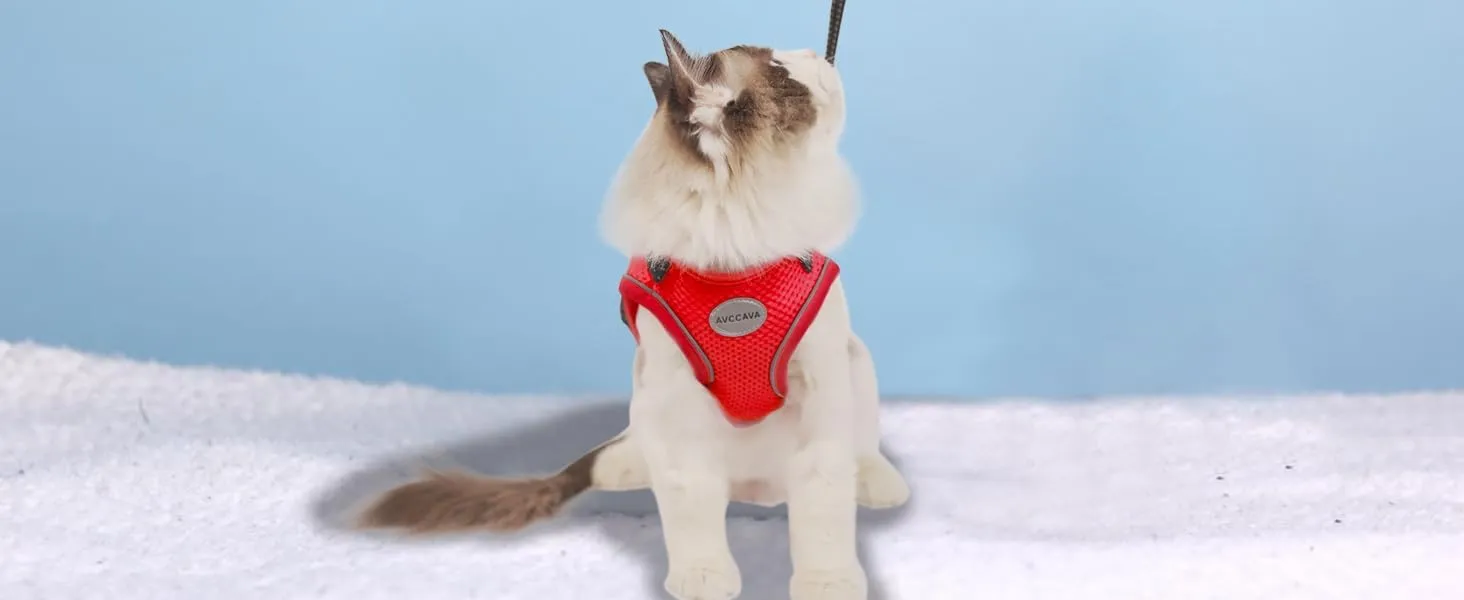 Cat Harness and Leash for Walking, Escape Proof Soft and Breathable Adjustable Vest Harness for Cats, Lightweight Easy to Control Medium Dog Kitten Harness, Comfortable Outdoor Jacket