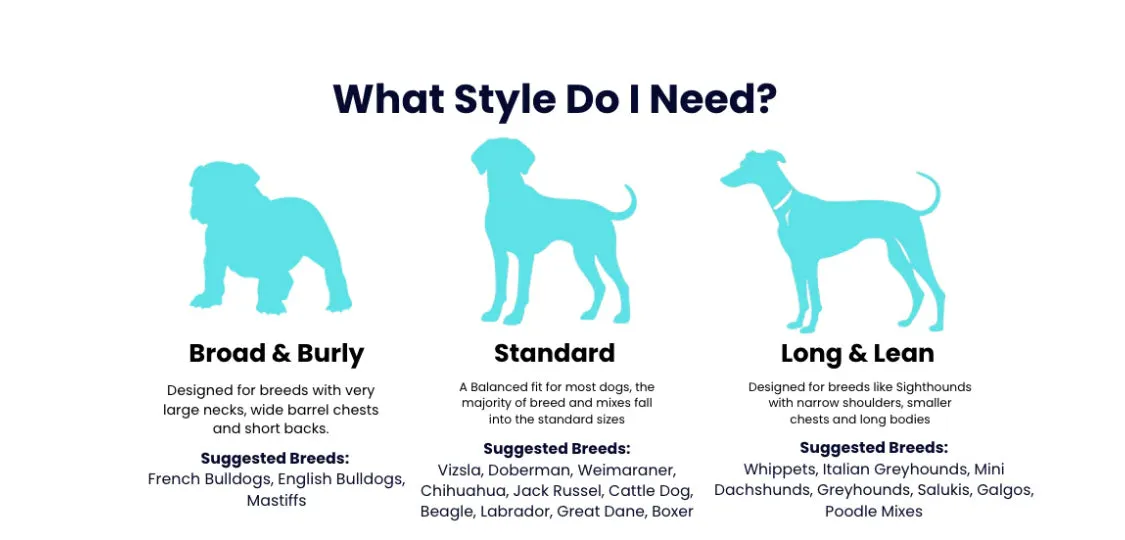 Chilly Dogs Harbour Slicker (Long and Lean Cut)