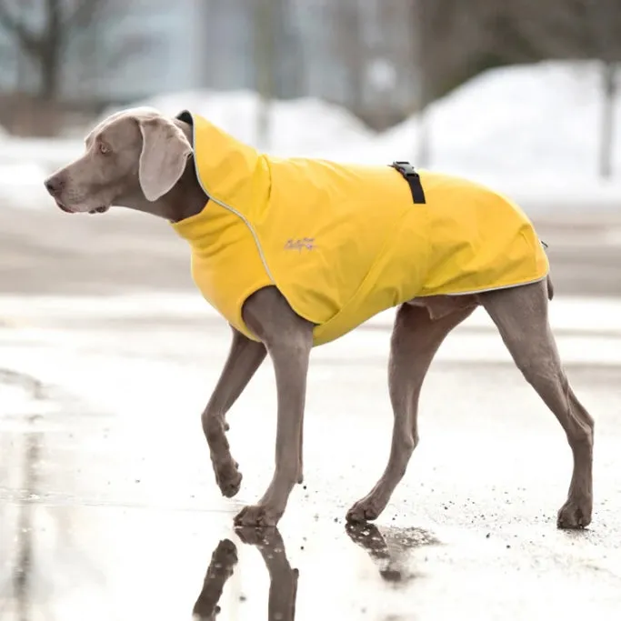 Chilly Dogs Harbour Slicker (Long and Lean Cut)