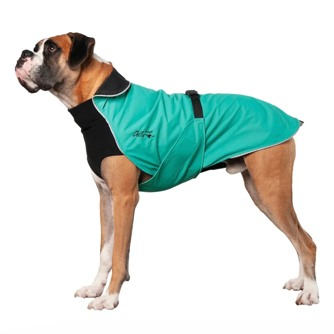 Chilly Dogs Harbour Slicker (Long and Lean Cut)
