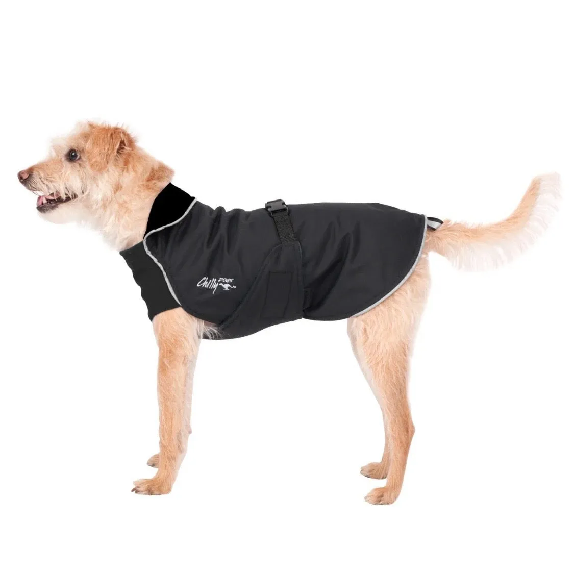Chilly Dogs Harbour Slicker (Long and Lean Cut)