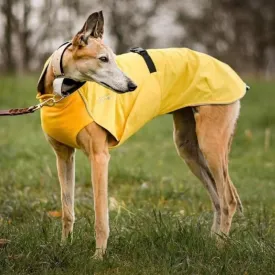 Chilly Dogs Harbour Slicker (Long and Lean Cut)