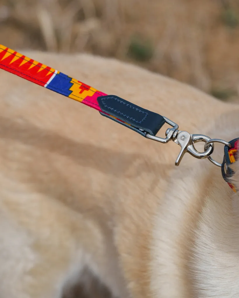 Dakar Classic Dog Lead