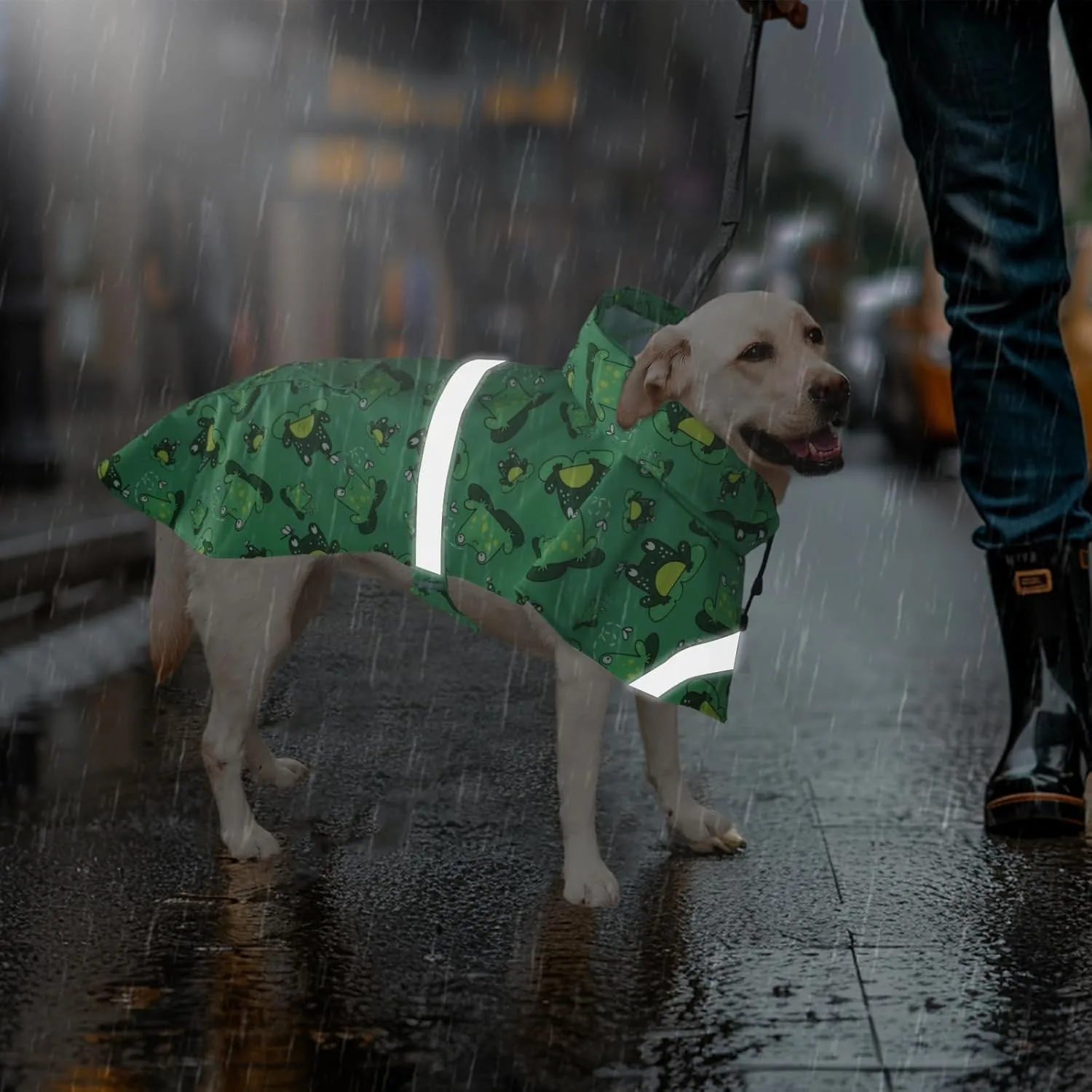 DELIFUR Large Dog Raincoat - Waterproof Dog Rain Poncho Adjustable Double Layer Rain Jacket with Hood for Medium Large Dogs Designed with Leash Hole Reflective Strip(Green Frog, Large)