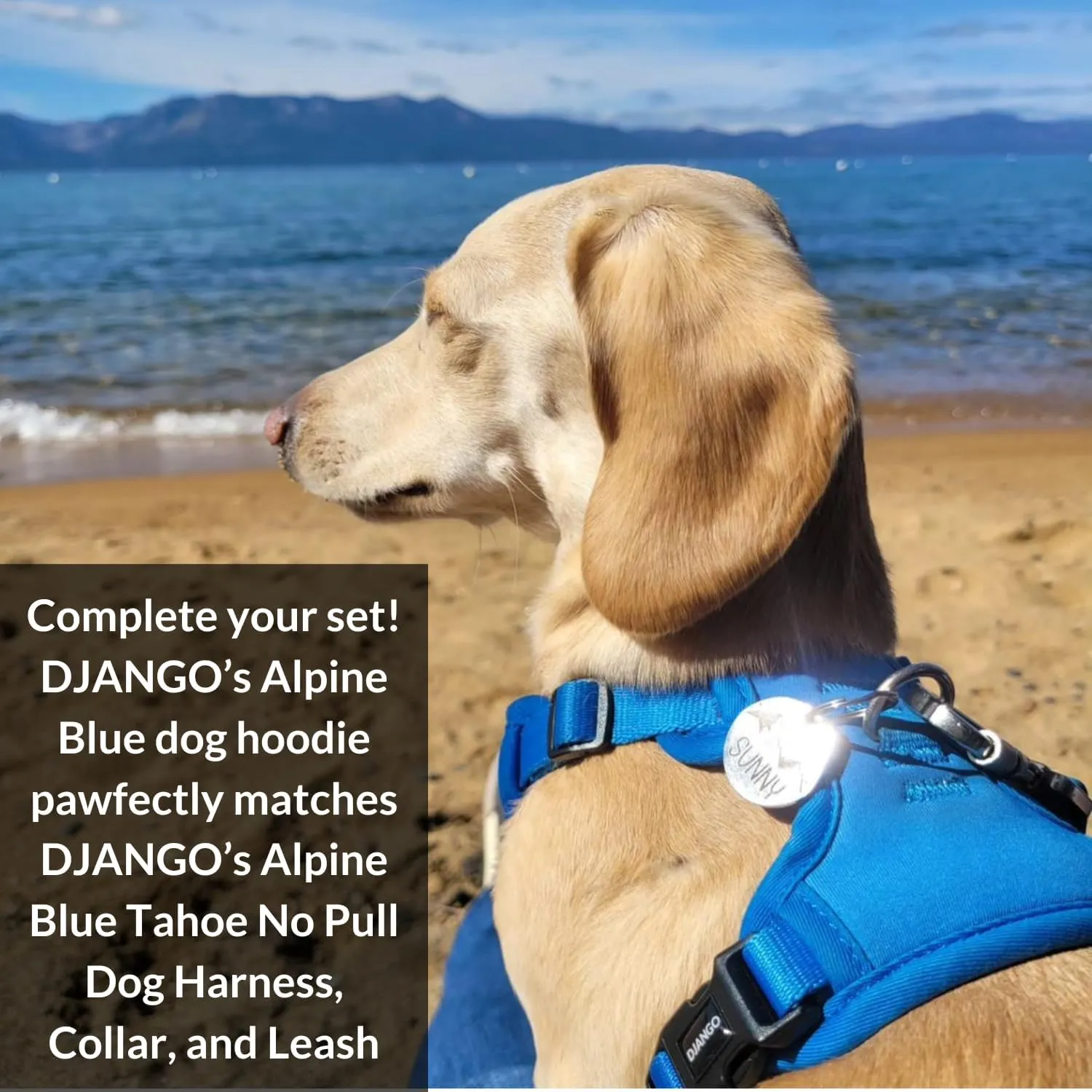 DJANGO Fully Lined Hoodie for Dog - Soft, Stretchy, and Cozy Sweatshirts for Dogs - Alpine Blue Winter Dog Sweaters for Dachshunds and Small Dogs - Warm Dog Hoodie Medium with Elastic Waistband