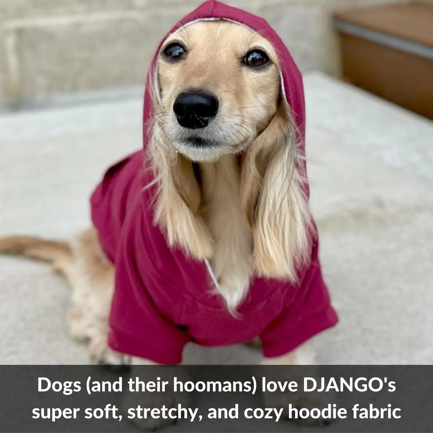 DJANGO Fully Lined Hoodie for Dog - Soft, Stretchy, and Cozy Sweatshirts for Dogs - Alpine Blue Winter Dog Sweaters for Dachshunds and Small Dogs - Warm Dog Hoodie Medium with Elastic Waistband