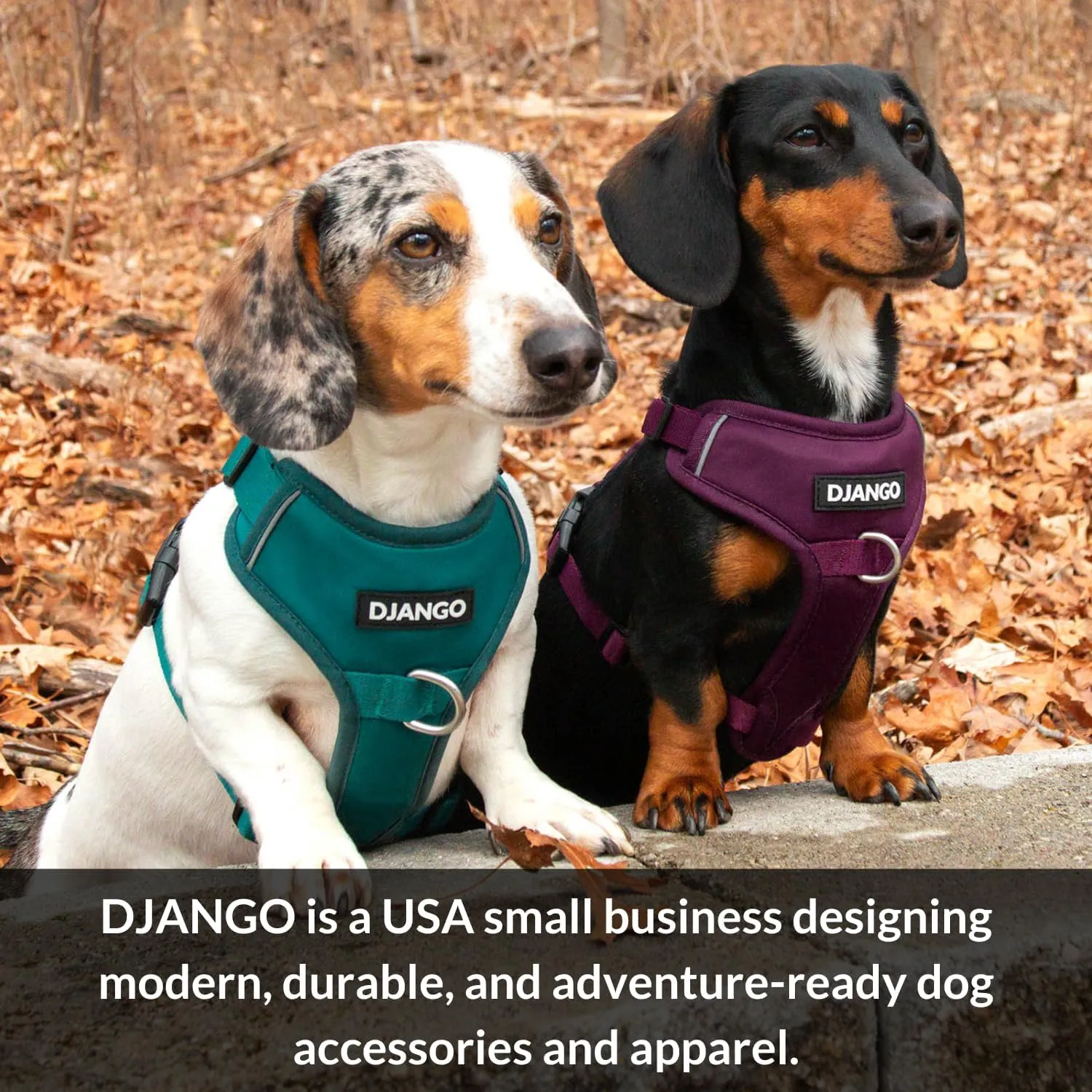 DJANGO Fully Lined Hoodie for Dog - Soft, Stretchy, and Cozy Sweatshirts for Dogs - Alpine Blue Winter Dog Sweaters for Dachshunds and Small Dogs - Warm Dog Hoodie Medium with Elastic Waistband