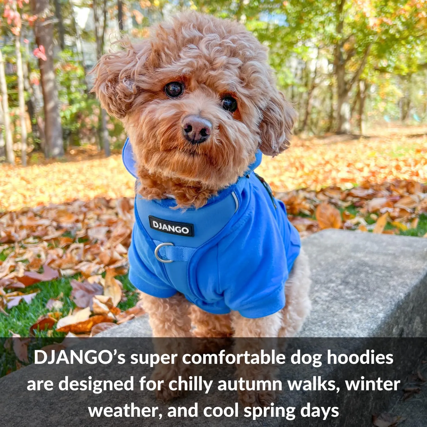 DJANGO Fully Lined Hoodie for Dog - Soft, Stretchy, and Cozy Sweatshirts for Dogs - Alpine Blue Winter Dog Sweaters for Dachshunds and Small Dogs - Warm Dog Hoodie Medium with Elastic Waistband